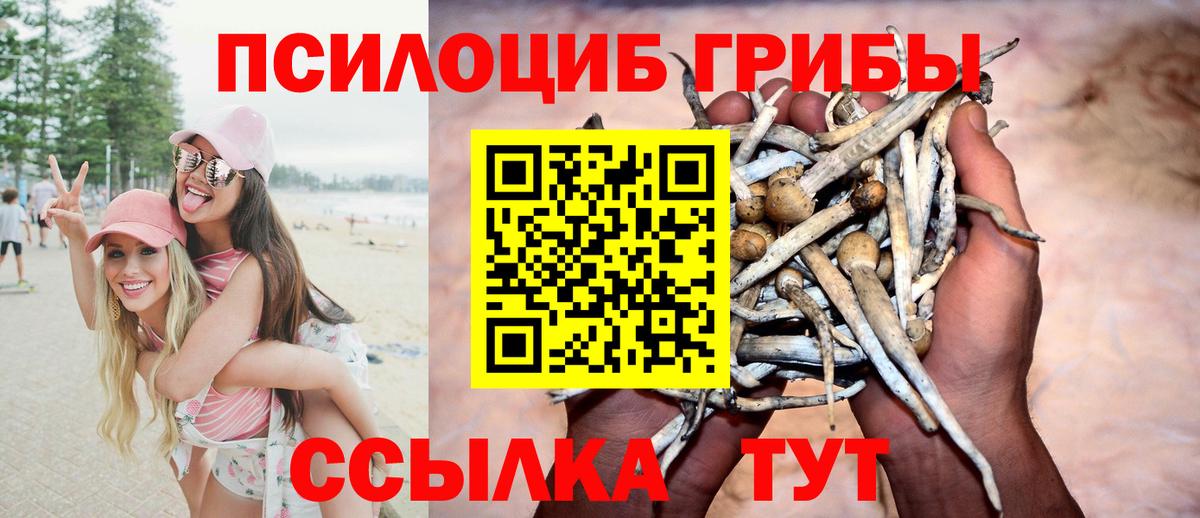 Камышин  Псилоцибиновые грибы мицелий  Псилоцибиновые грибы Magic Shrooms  Вход с VPN 